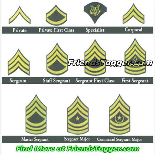 The Army: Enlisted Ranks In The Army